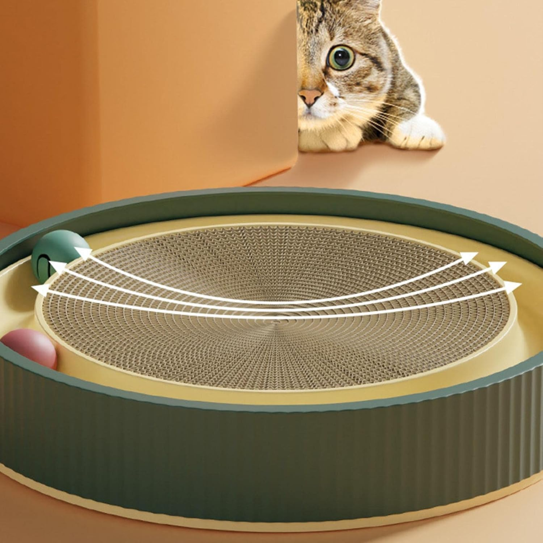 Brinquedo Arranhador Interativo com Bolinhas para Gatos