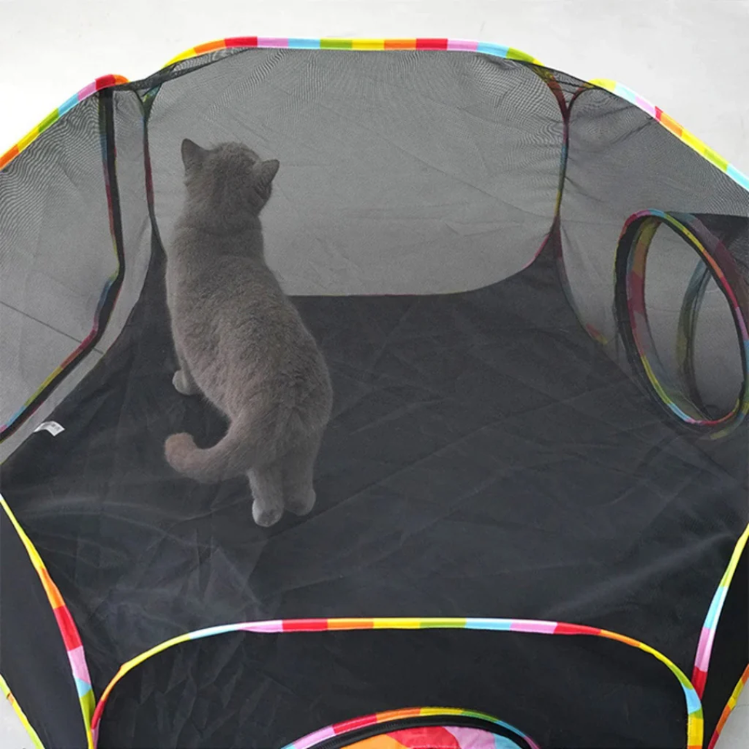 Túnel Portátil com Barraca para Gatos