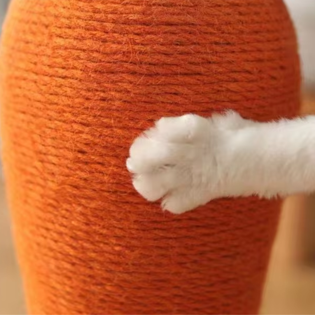 Arranhador Cenoura para Gatos